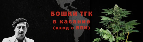 ECSTASY Волосово