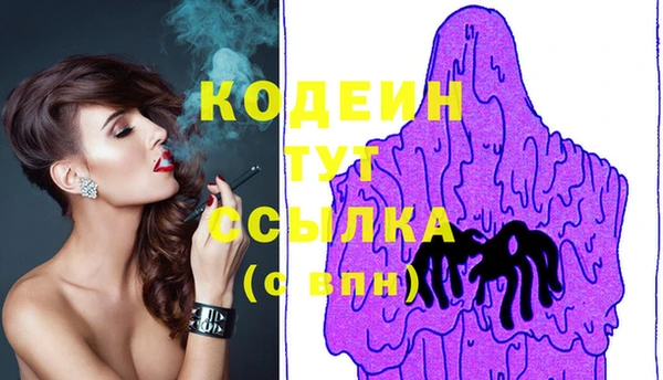 дурь Вяземский