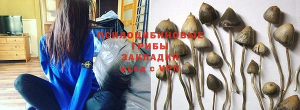 дурь Вяземский