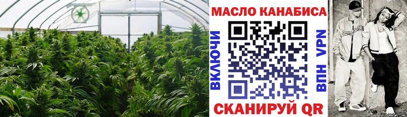 ТГК вейп с тгк  Купить закладки  Касимов 