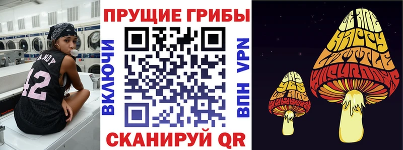 Галлюциногенные грибы Magic Shrooms  Купить закладки  Касимов 